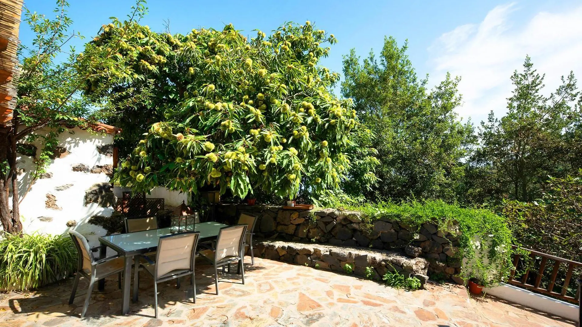 El Jardin De Las Hesperides Icod De Los Vinos Villa